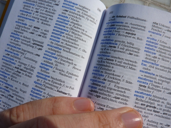 دیکشنری های مناسب مترجمان چه دیکشنری می باشند؟