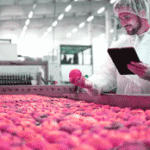 تولید محتوا در حوزه صنایع غذایی با زرین ترجمه