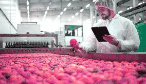 تولید محتوا در حوزه صنایع غذایی با زرین ترجمه