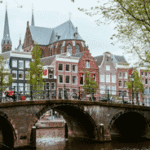 تدریس آنلاین زبان هلندی با زرین ترجمه